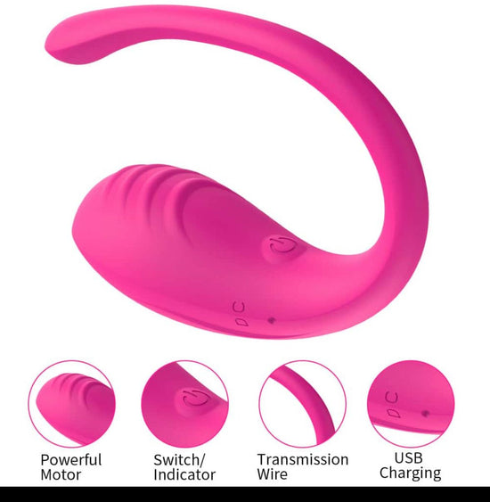App Controlled Rechargeable Love Egg Vibrator - PleasureandBliss